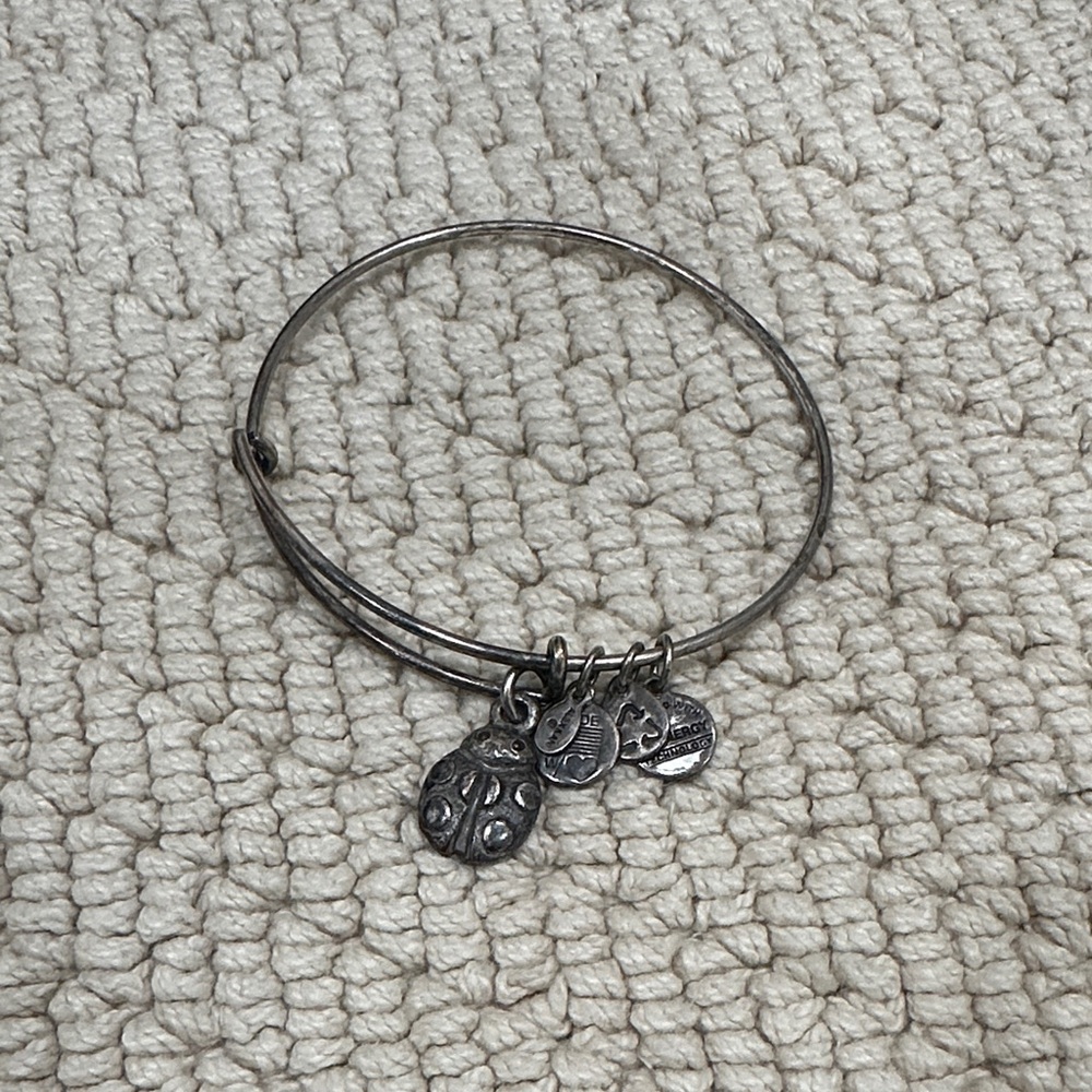 ❤️ 5/$25 Alex and Ani Chic Silver Ladybug Charm Bracelet